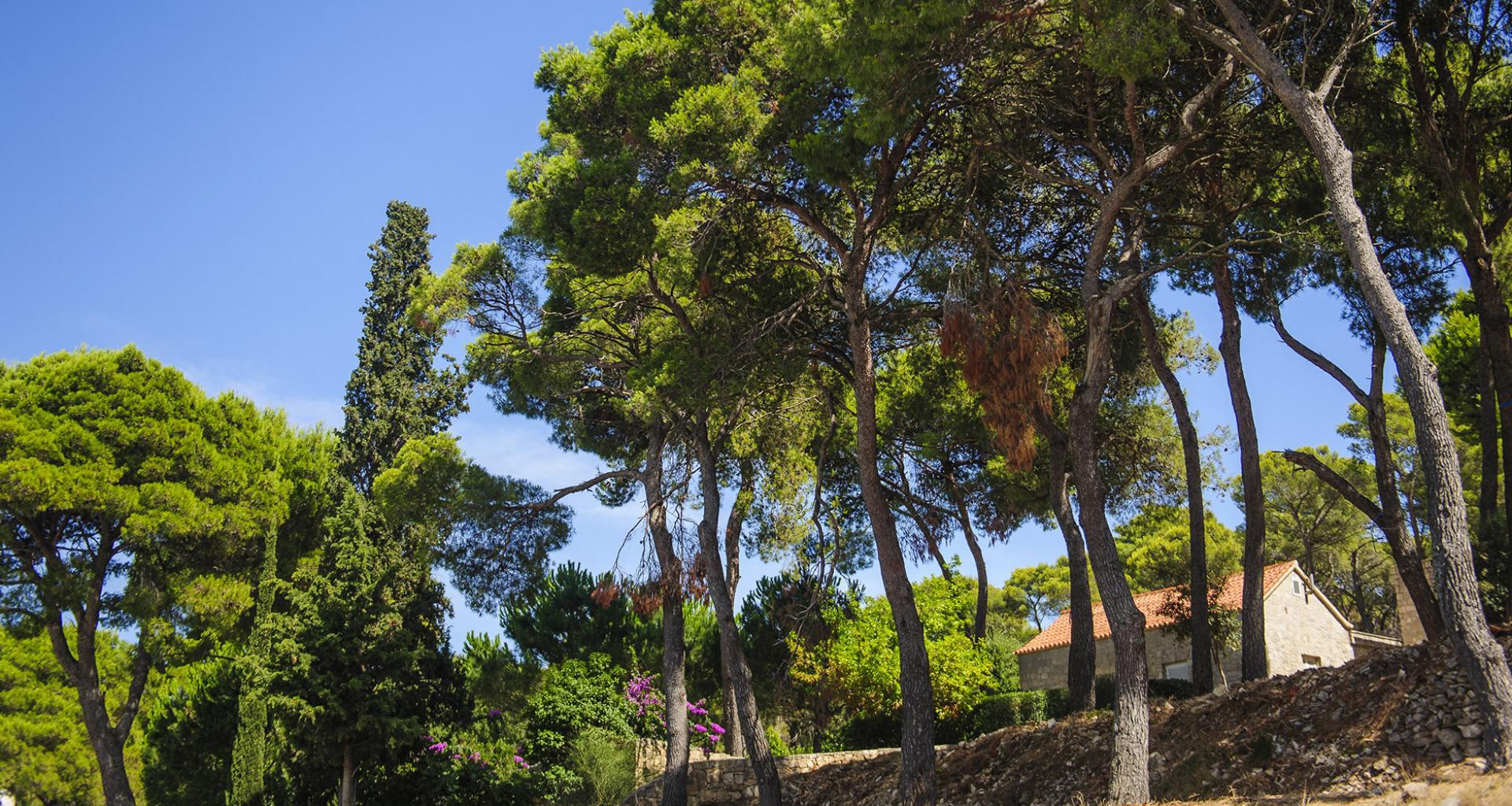 Marina Martinis Marchi